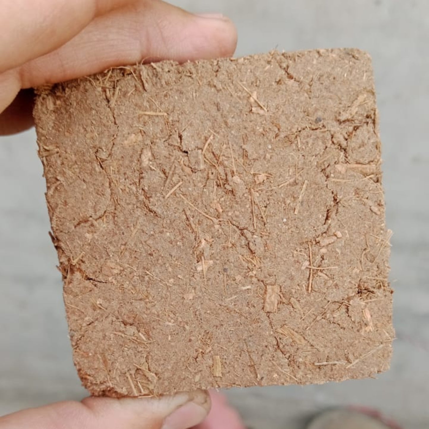 Coco Coir Brick, Buffered Cocopeat 100 Gm Each Piece ( Pack Of 3 ) - Grandsell