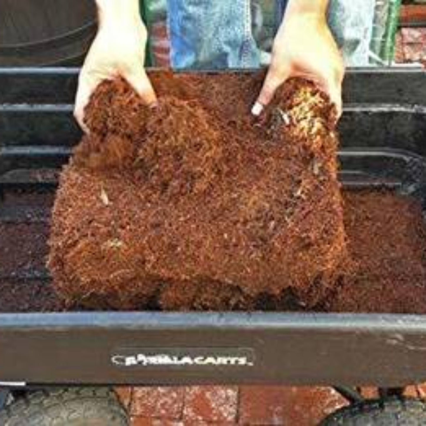 Coco Coir Brick, Buffered Cocopeat 100 Gm Each Piece ( Pack Of 3 ) - Grandsell