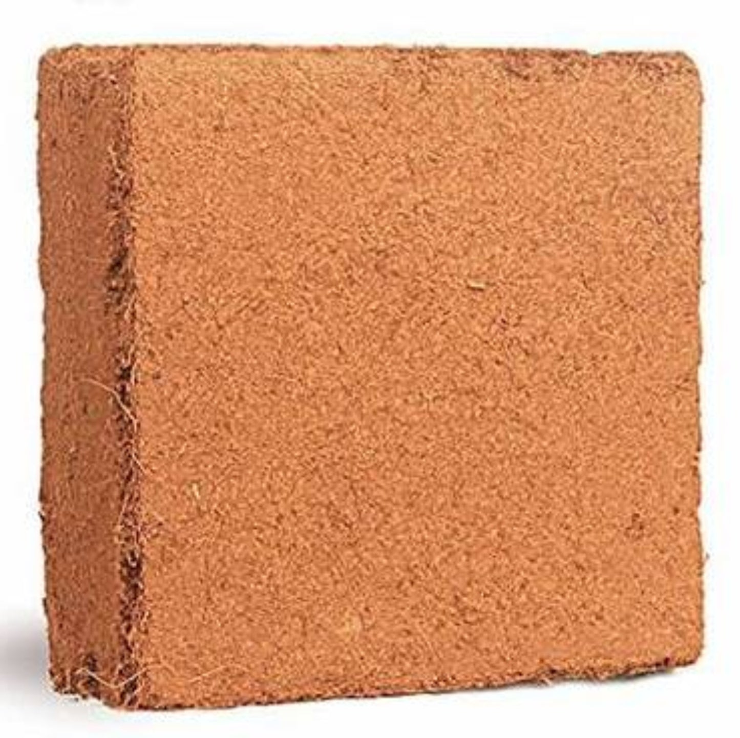 Coco Coir Brick, Buffered Cocopeat 100 Gm Each Piece ( Pack Of 3 ) - Grandsell