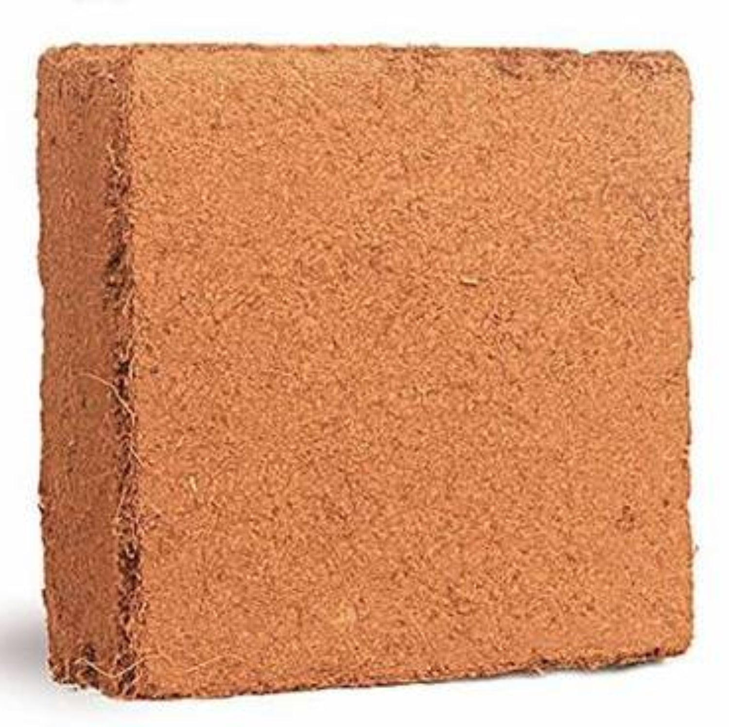 Coco Coir Brick, Buffered Cocopeat 100 Gm Each Piece ( Pack Of 3 ) - Grandsell